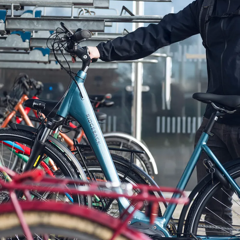 ridgeback electron di2 review