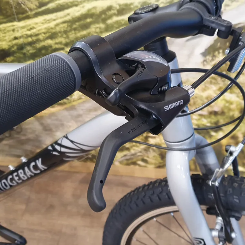 ridgeback element 2020 review