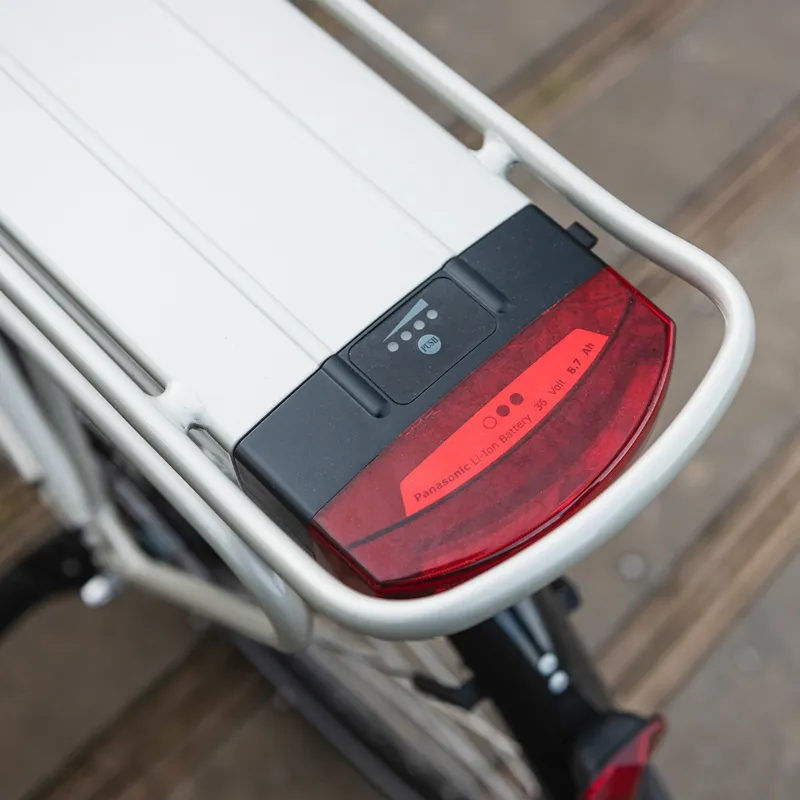 ridgeback electron 2020