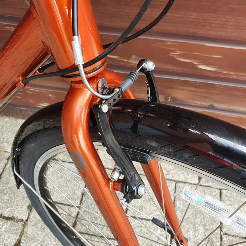Ridgeback speed 2021 outlet