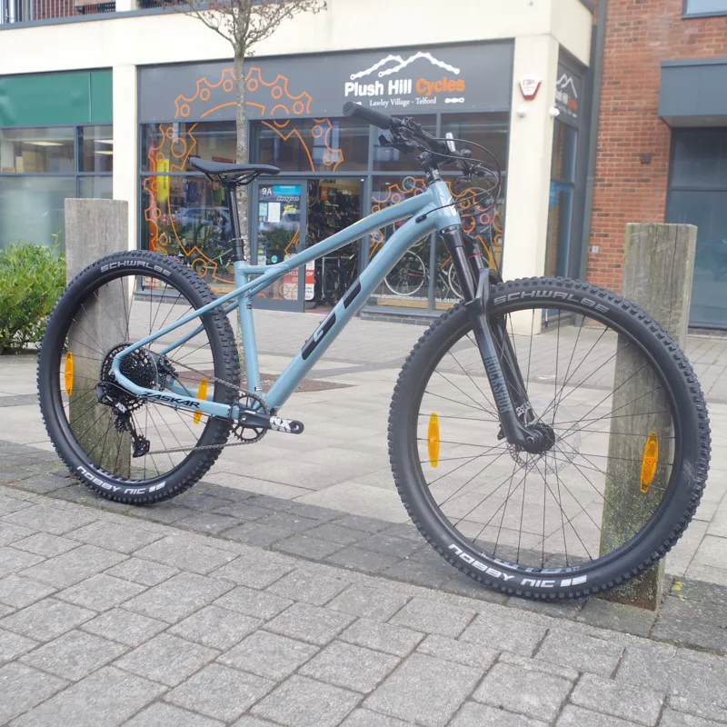 GT Zaskar LT Al Expert June Gloom