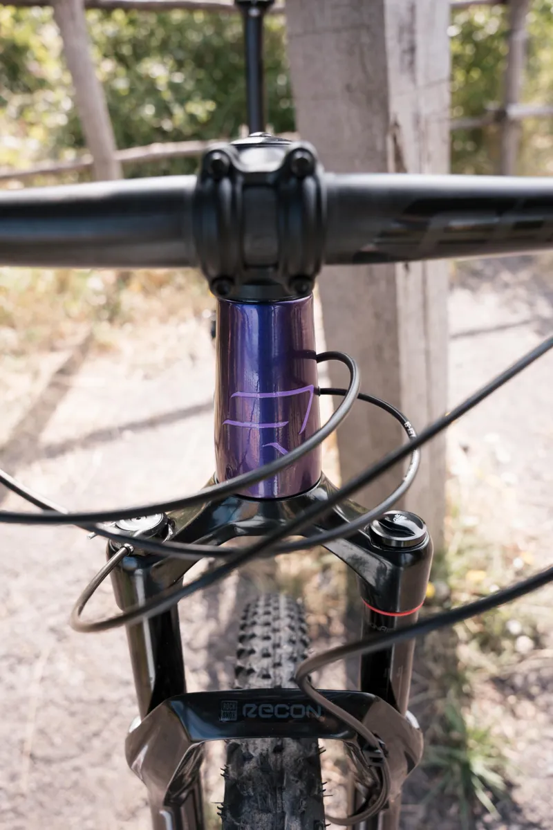 Ridley Ignite SLX GX EAGLE Carbon XC mtb Amethyst purple-5