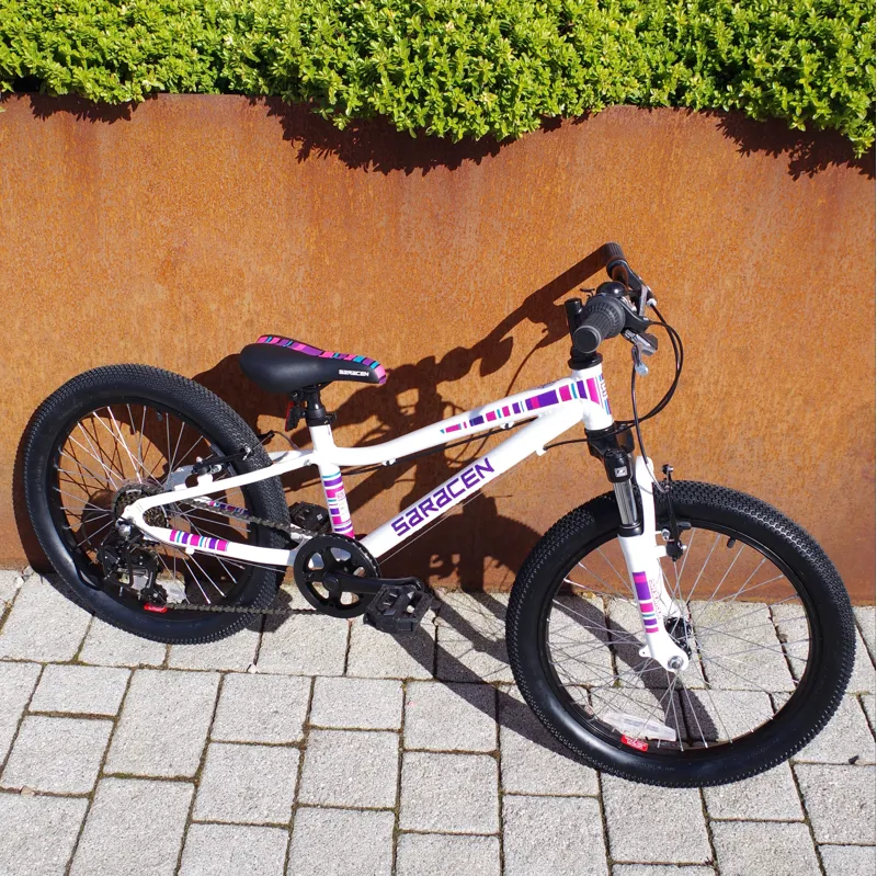 2015 Saracen Spice Junior 20in