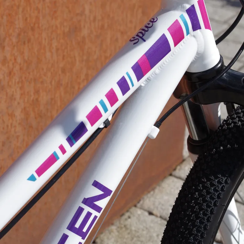 2015 Saracen Spice Junior 20in
