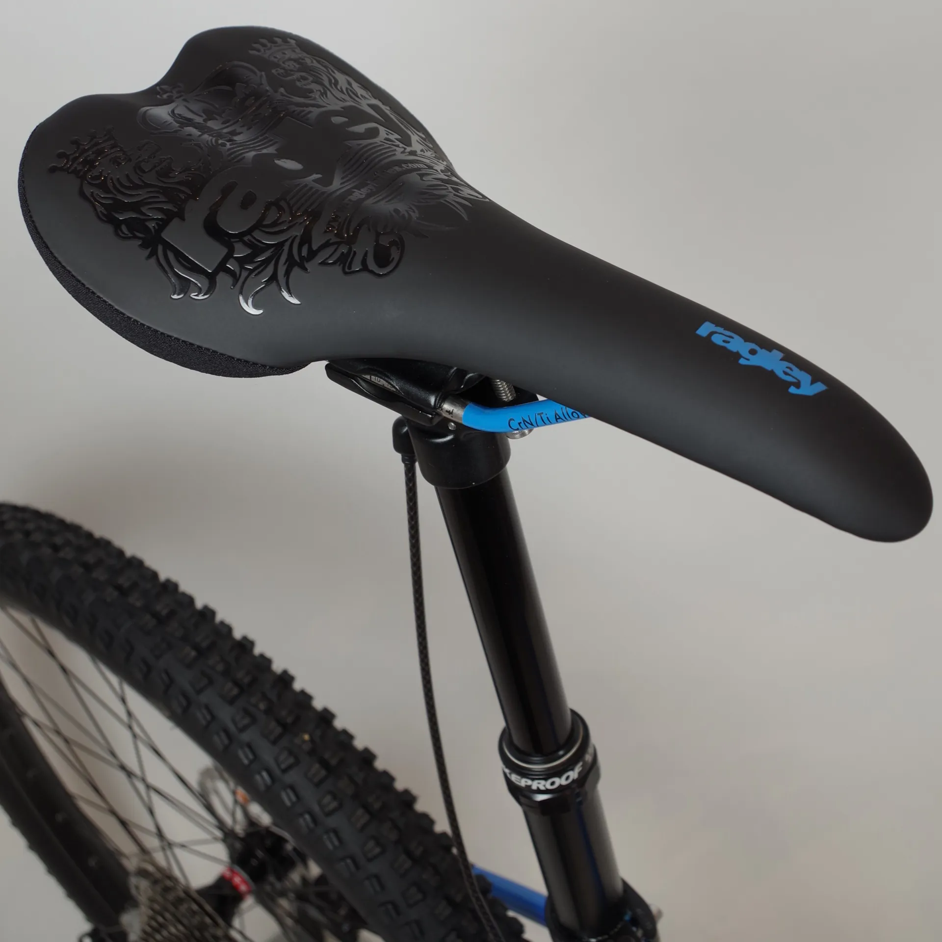 Pig Race 2021 Ragley Blue Pig Pig Race Ragley Blue Pig Test Ragley