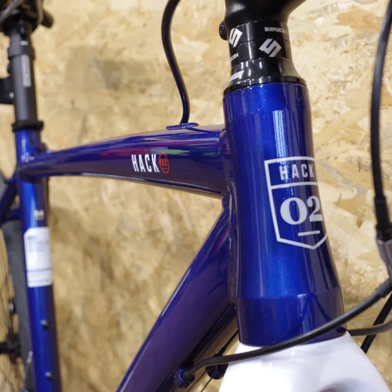 saris locking bike trac