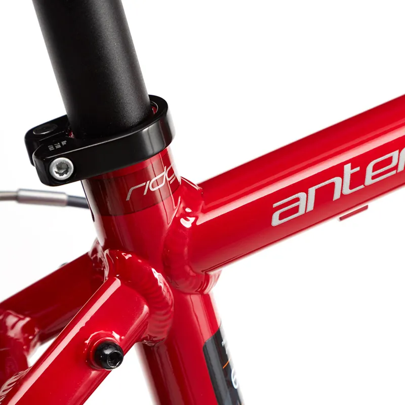 Ridgeback anteron shop