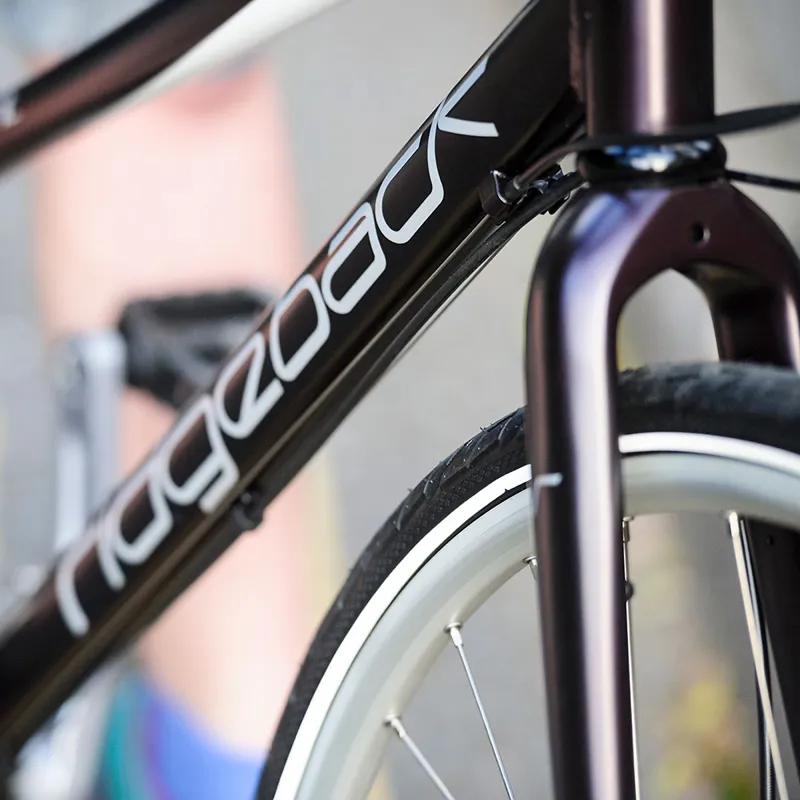 Ridgeback element 2017 hotsell