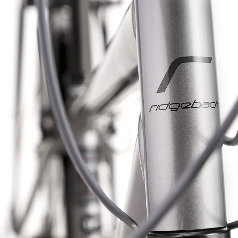 2017 Ridgeback Speed-1
