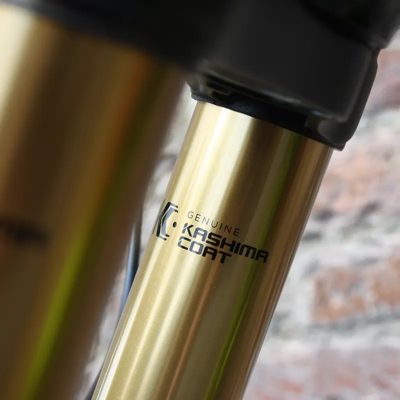 2017 Saracen Myst Team Downhill Bike-3