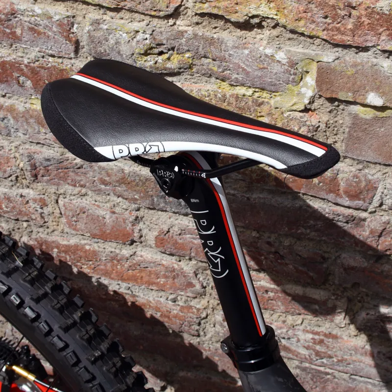 2017 Saracen Myst Team Downhill Bike-10