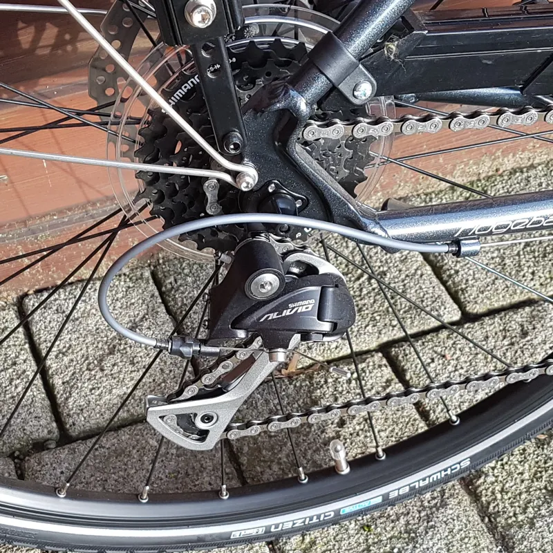 Ridgeback tensor 2025