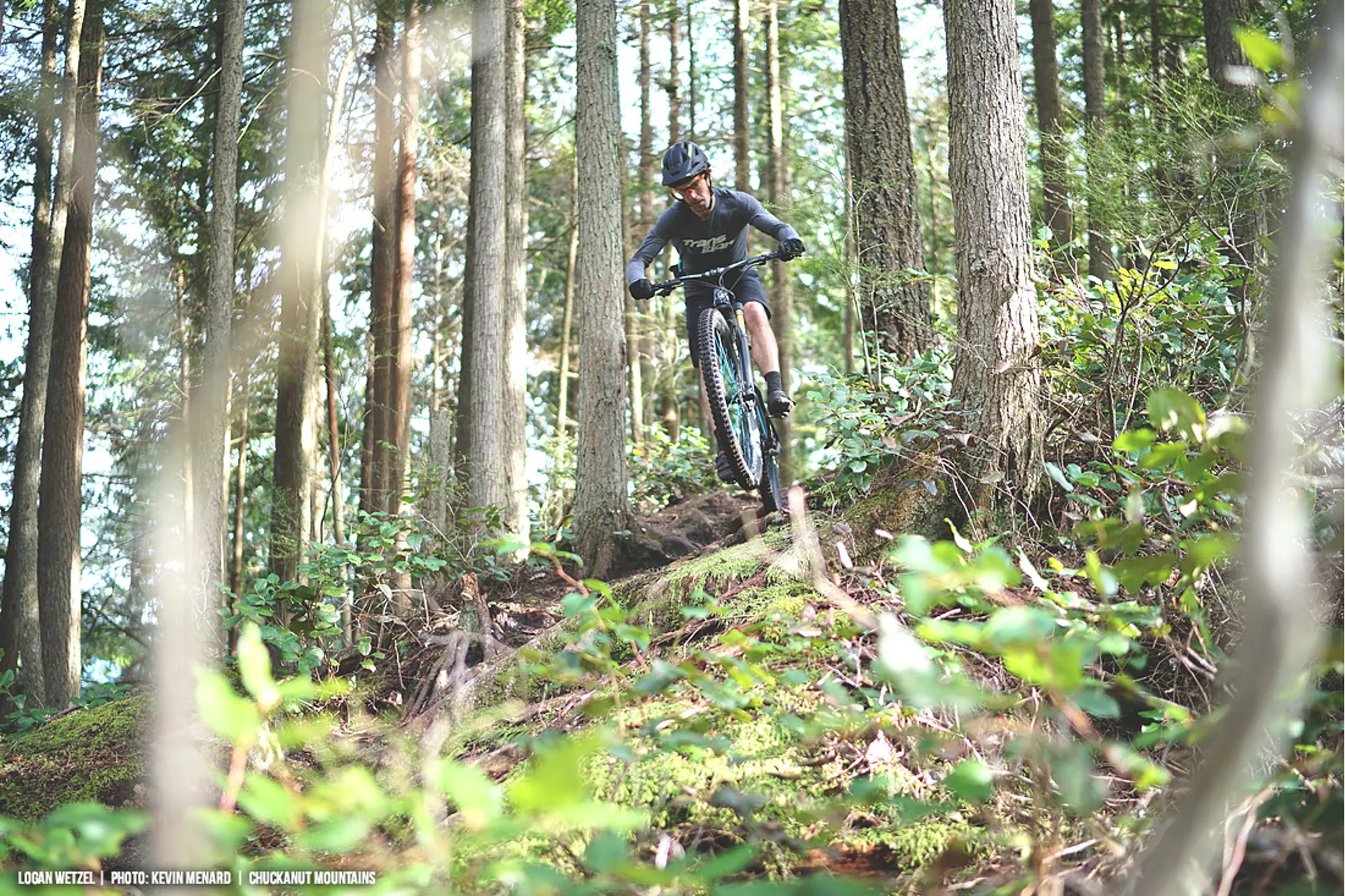 Transition Vanquish Race Raw Carbon 29er Frame