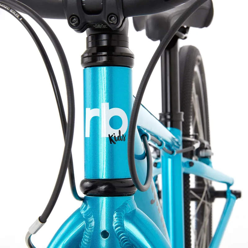 Ridgeback 29er best sale