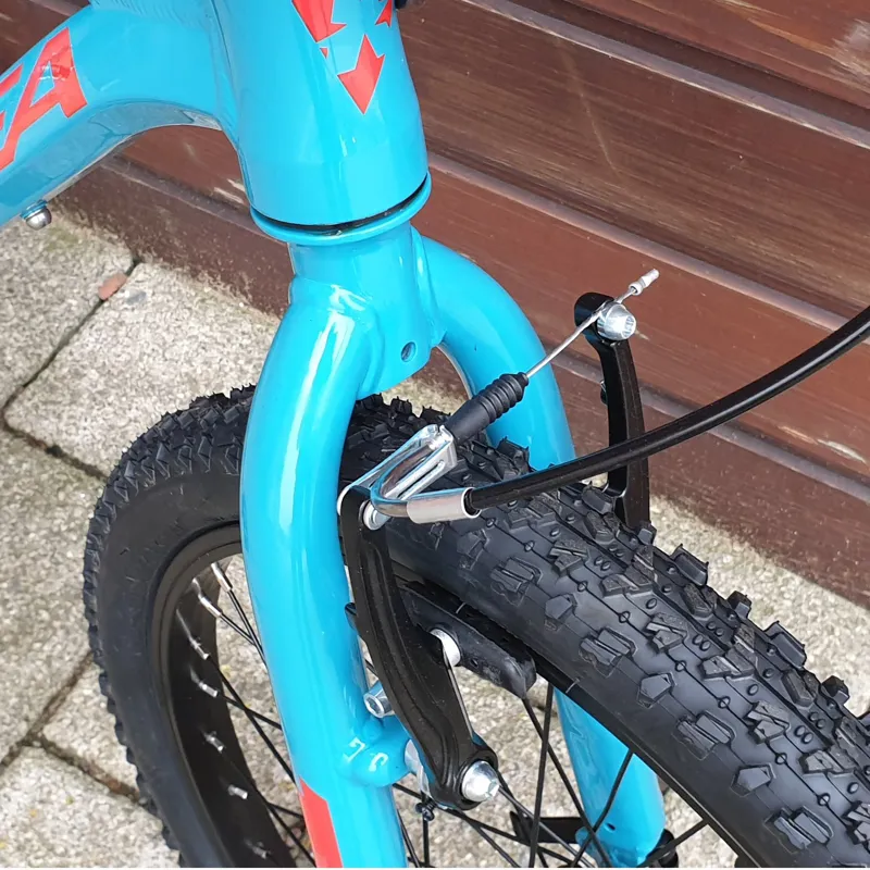 2020 Orbea MX20 Childrens Mountain Bike in Blue-2