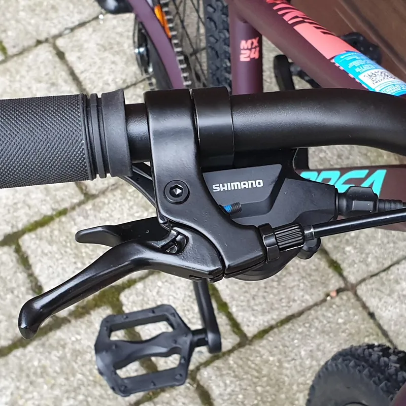 Orbea mx 24 on sale dirt 2020