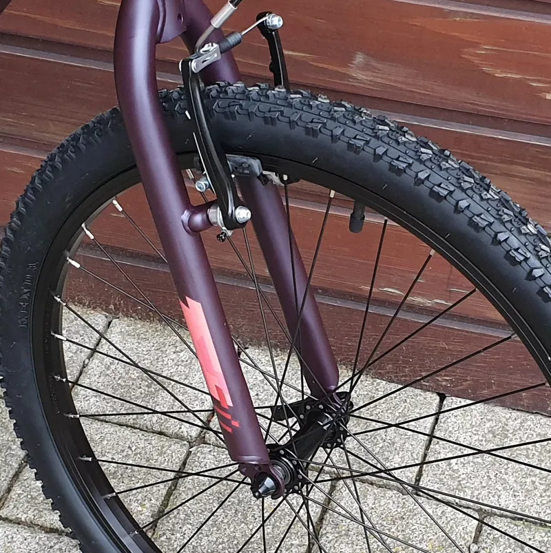 2020 Orbea MX24 DIRT Mountain Bike in Purple-3