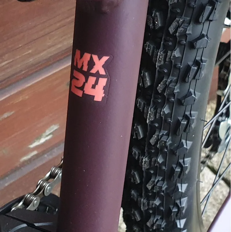 2020 Orbea MX24 DIRT Mountain Bike in Purple-9