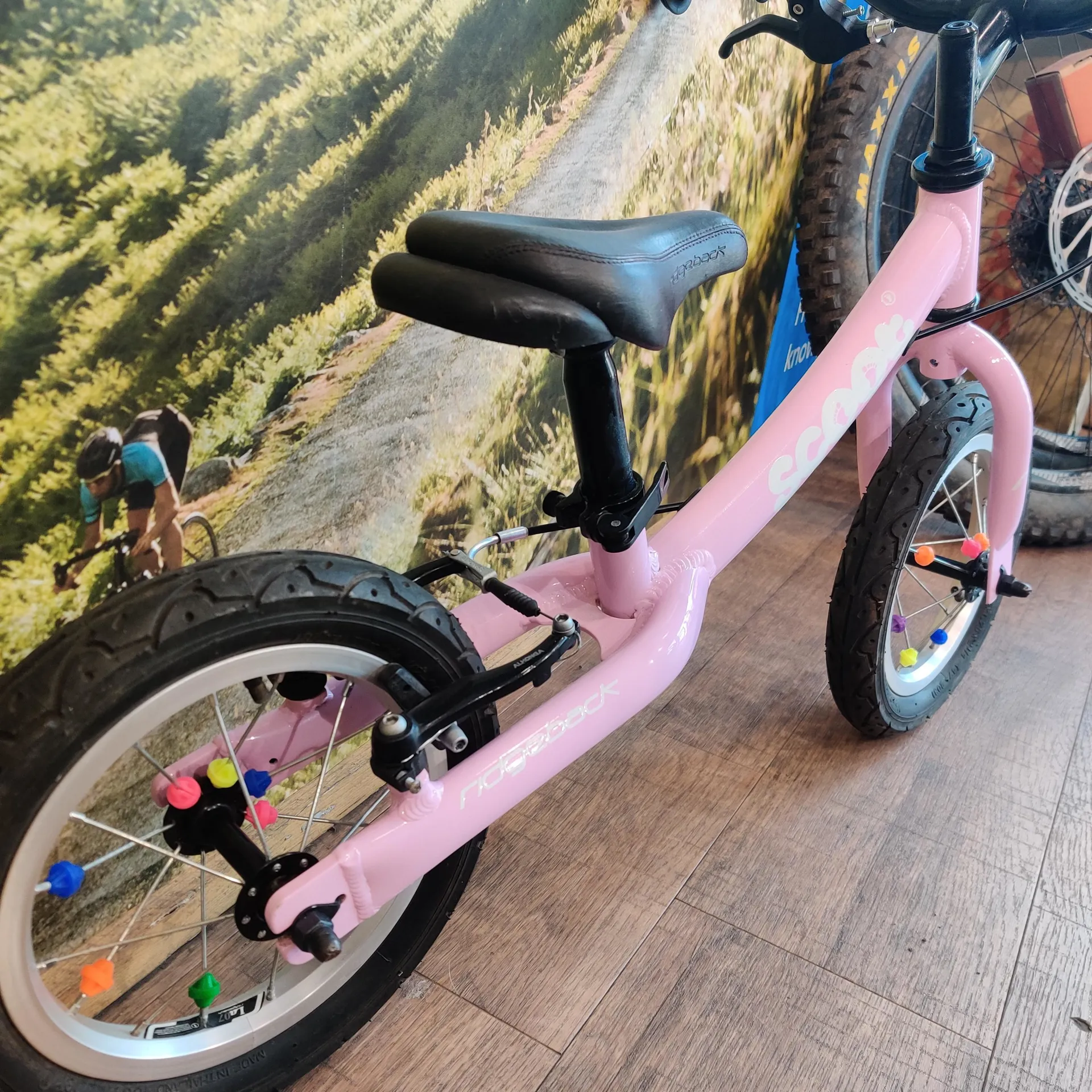 Used balance bike online