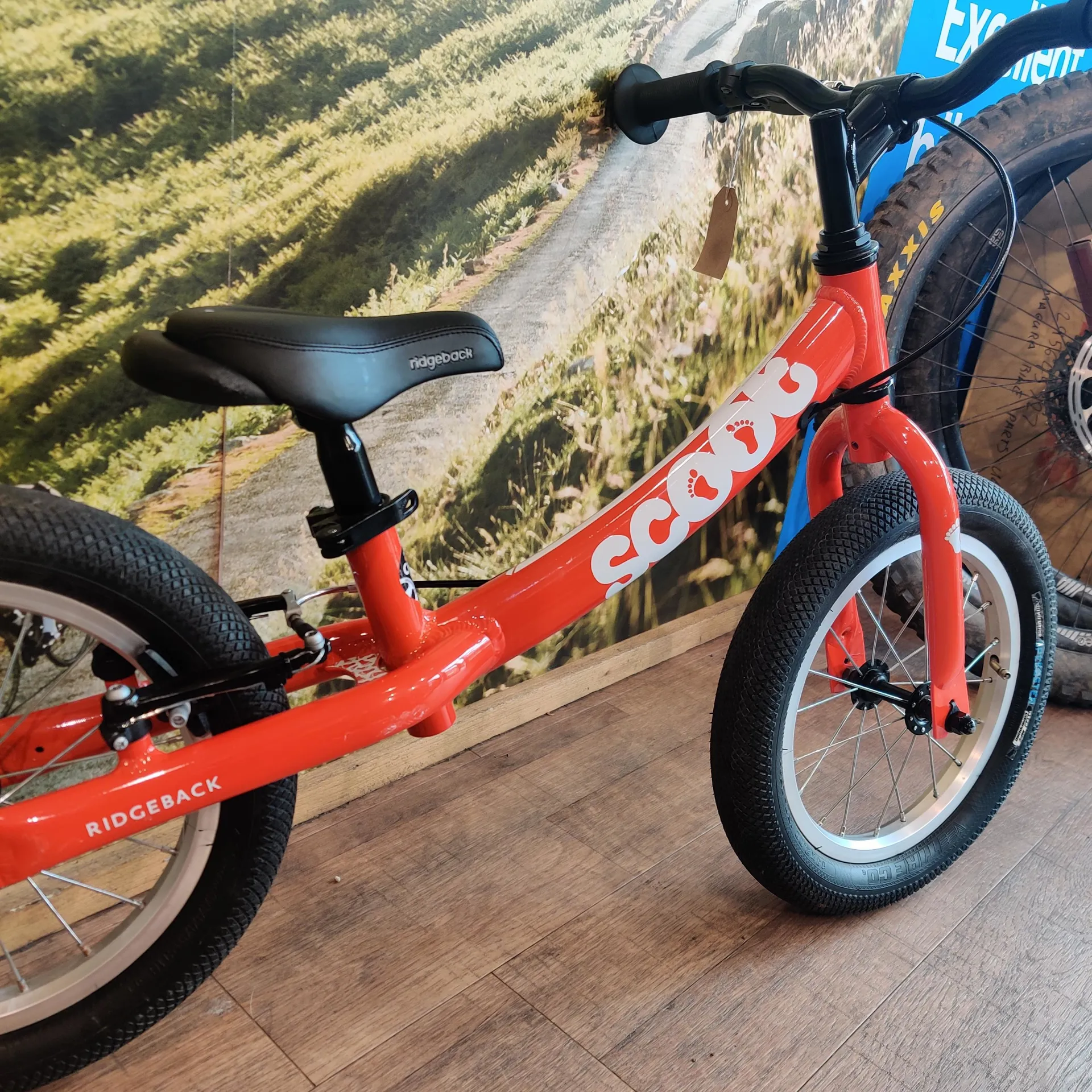 Used 14 inch bike sales