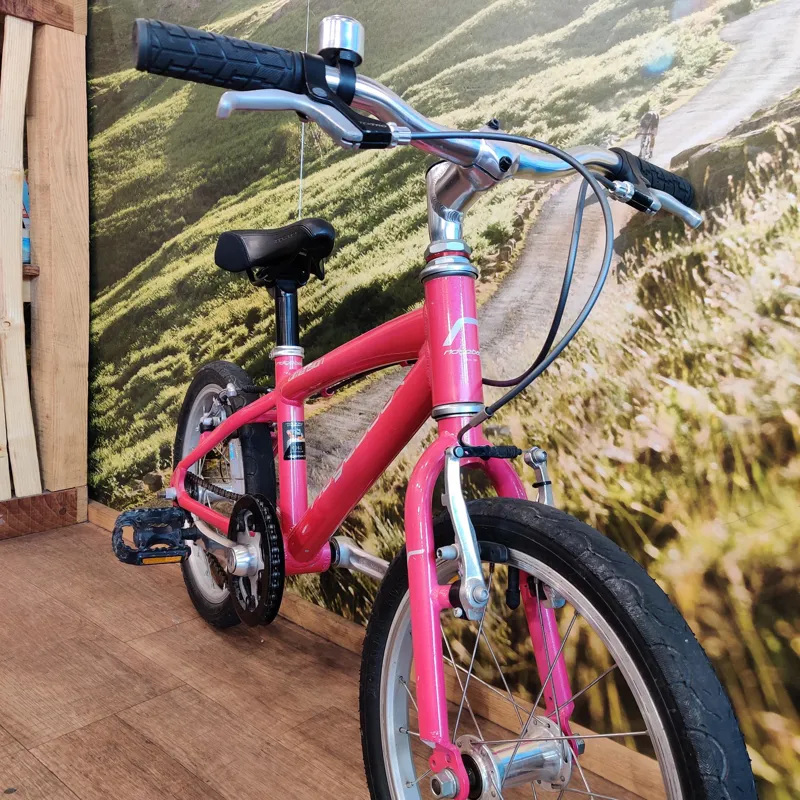 Ridgeback dimension 16 pink 2025