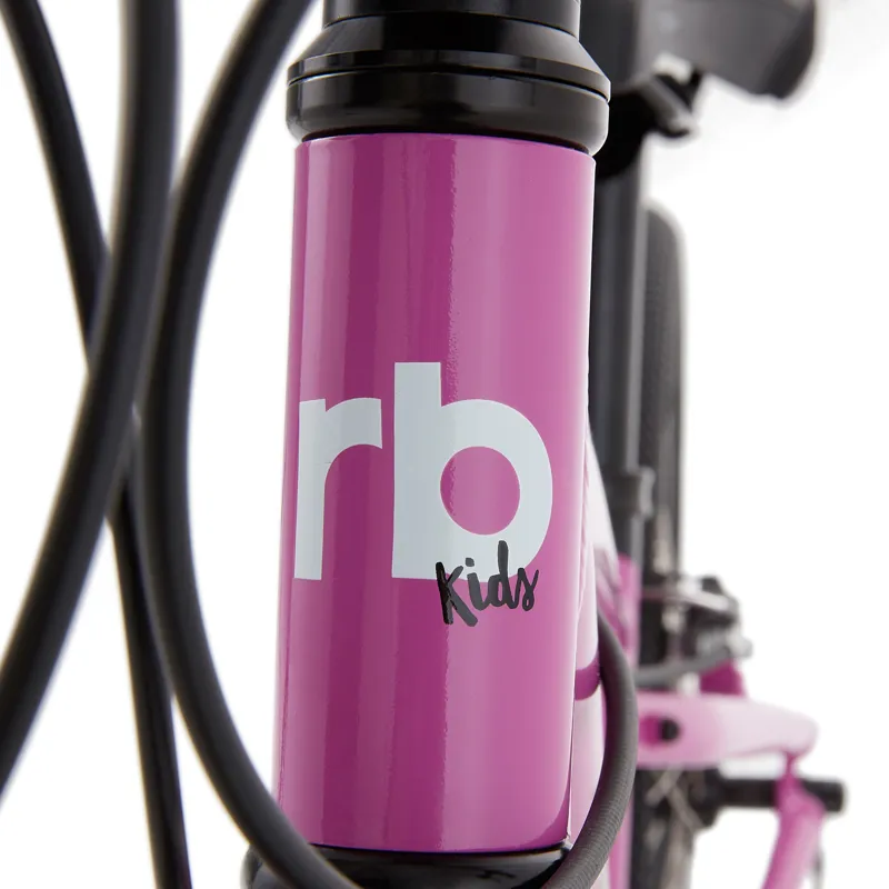 Ridgeback dimension sales 20 purple