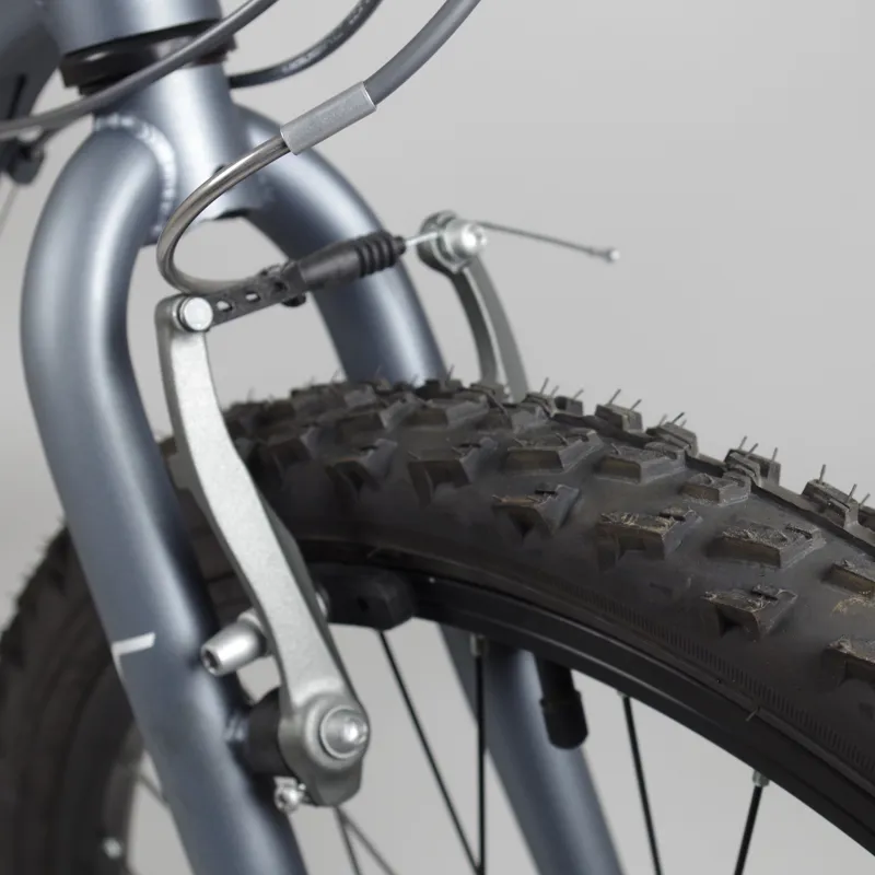 2014 Ridgeback RX24 24 in-4