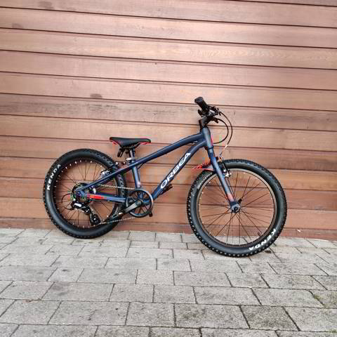Orbea mx dirt 20 sales