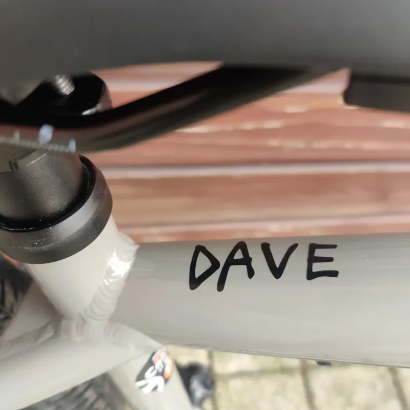 2021 Cannondale Dave Jump Bike in Grey 26 Inch Wheel-4