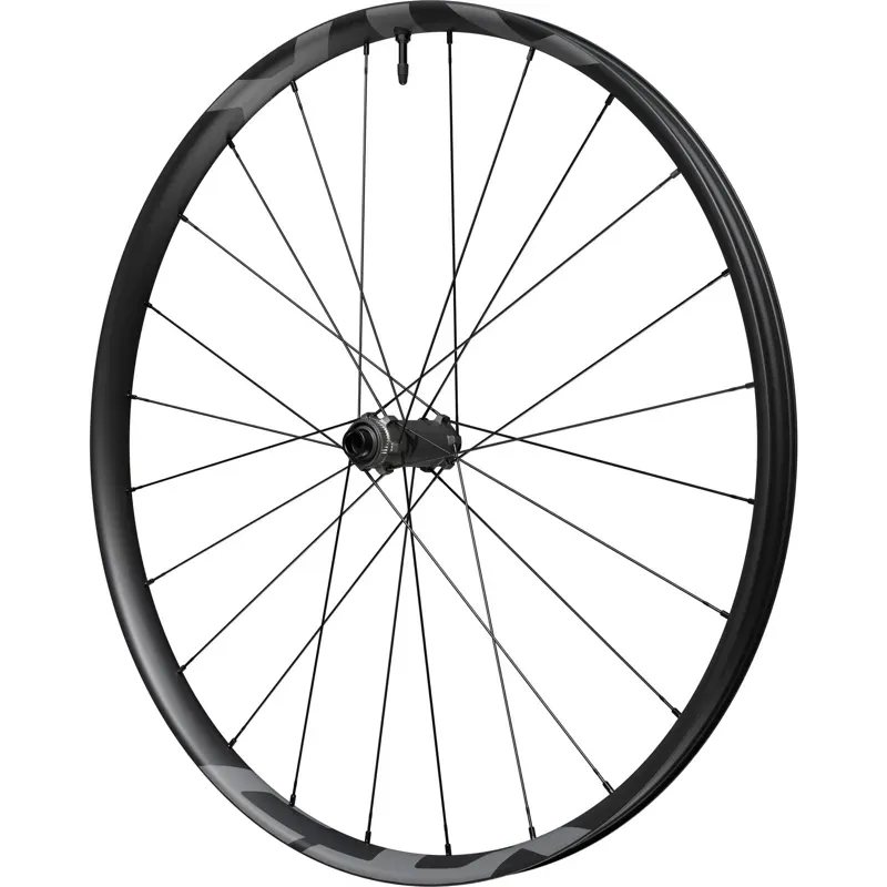 XTR M9200 29er XTR wheel 15x110mm E-thru Center Lock disc front-1