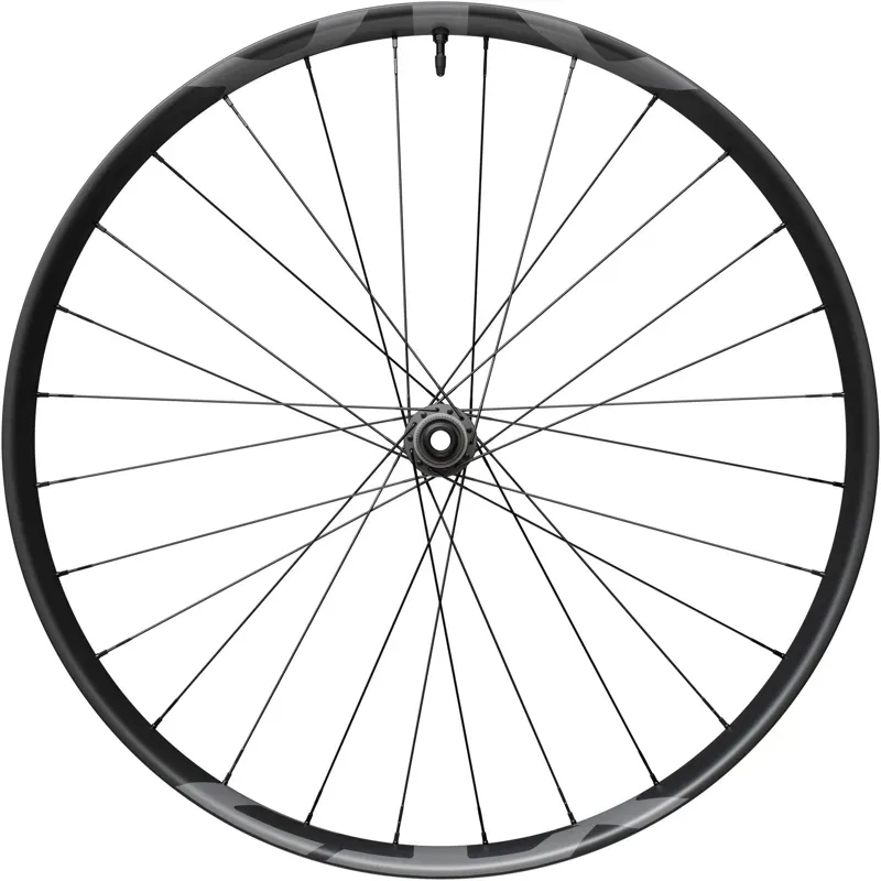 XTR M9220 29er XTR wheel 15x110mm E-thru Center Lock disc front